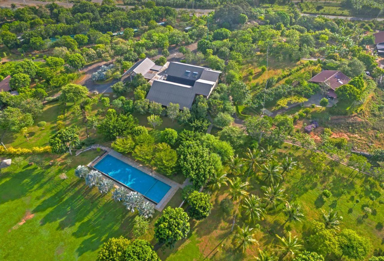 Birds Resort Hambantota Eksteriør billede