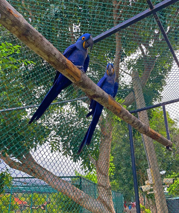 Birds Resort Hambantota Eksteriør billede